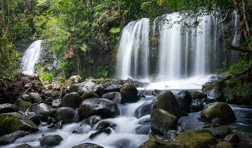 Kon-Chu-Rang-Nature-Reserve-danang-to-quang-ngai